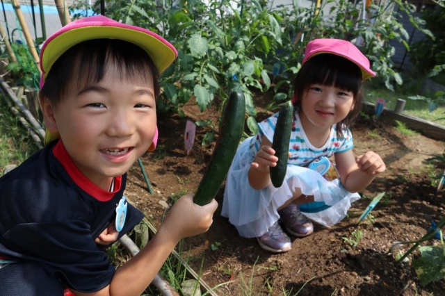 オンライン保育参観(3日目)