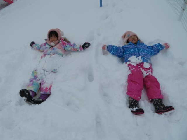 雪・雪・雪❄