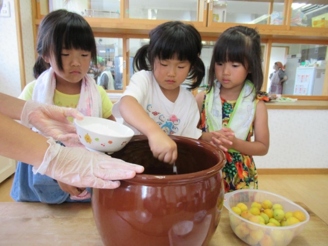 梅干し(下漬け)