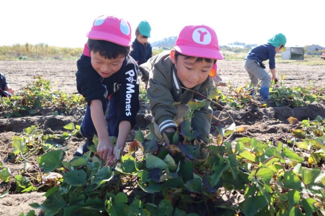 いもほり遠足🍠